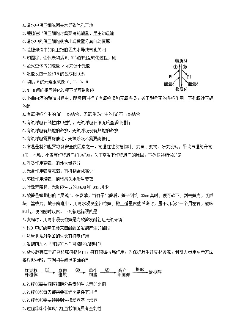 百师联盟联考2023-2024学年高二下学期6月月考生物试题第2页