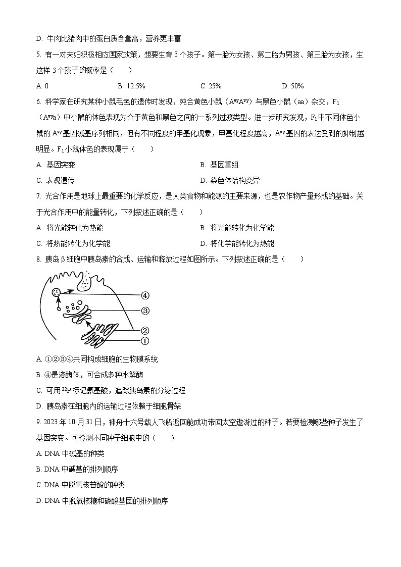 2024年6月浙江省学业水平适应性考试高一生物试题 Word版无答案第2页