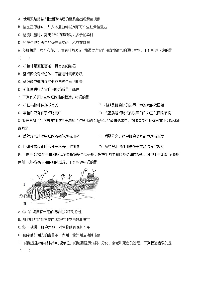 浙江省丽水市五校高中发展共同体2023-2024学年高一下学期5月期中联考生物试题（Word版附解析）02