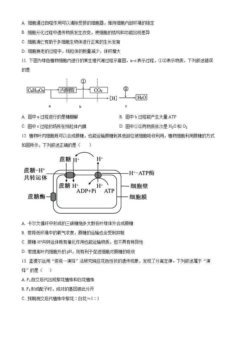 浙江省丽水市五校高中发展共同体2023-2024学年高一下学期5月期中联考生物试题（Word版附解析）03