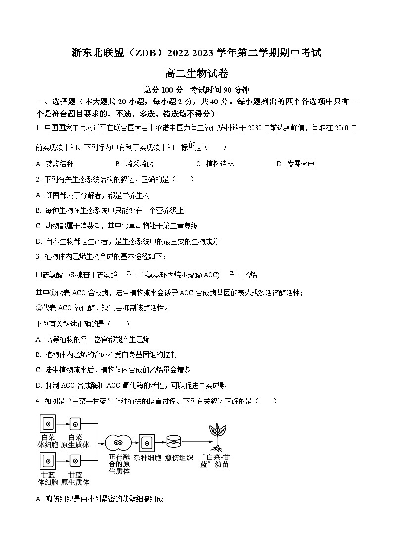 浙江省浙东北（ZDB）联盟2022-2023学年高二下学期期中联考生物试题（Word版附解析）01