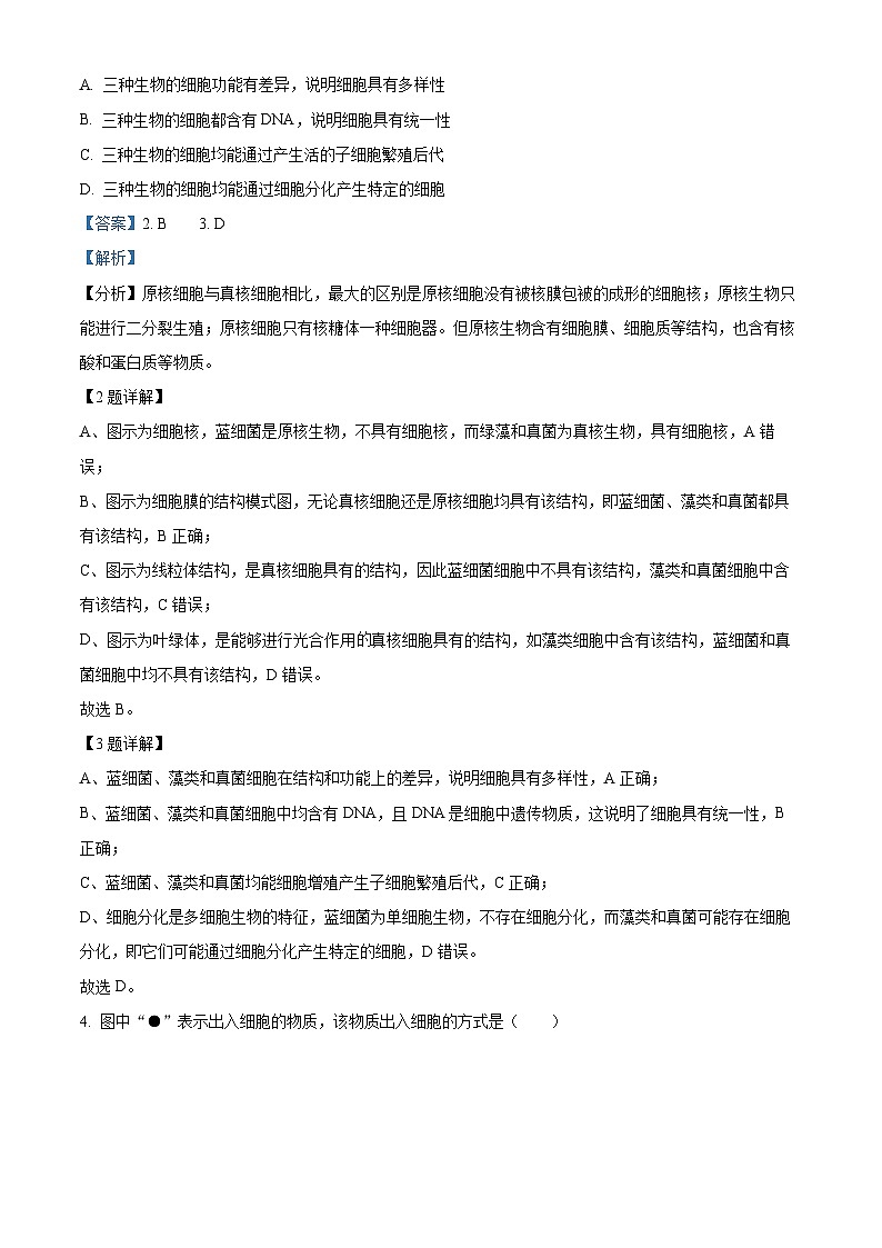 2024届浙江省台州市台州市十校联盟模拟预测生物试题 Word版含解析第2页