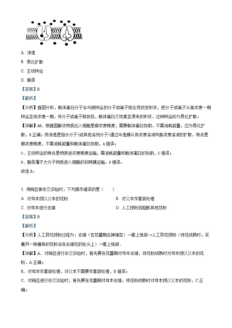 2024届浙江省台州市台州市十校联盟模拟预测生物试题 Word版含解析第3页