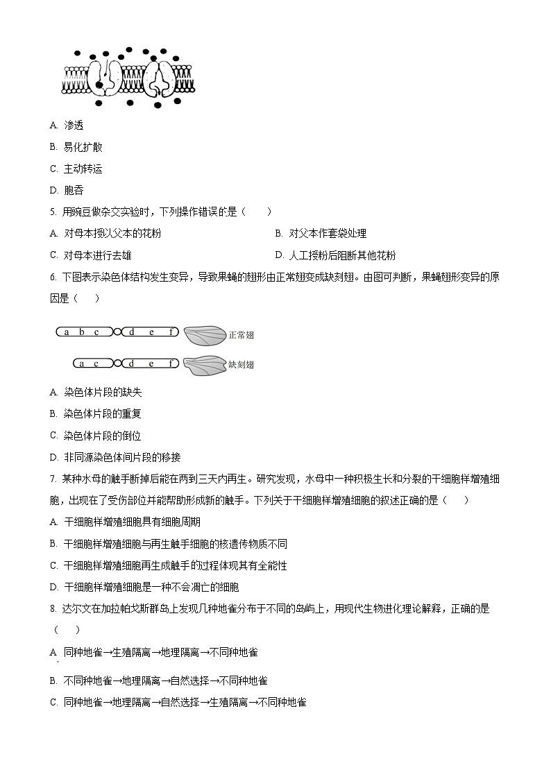 2024届浙江省台州市台州市十校联盟模拟预测生物试题 Word版无答案第2页