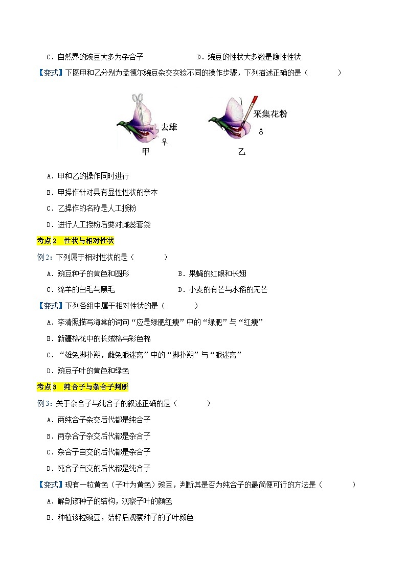 专题01 遗传规律与伴性遗传【考题猜想】（20个考点）（原卷版+解析版）-高一生物下学期期末考点大串讲（人教版2019必修2）02