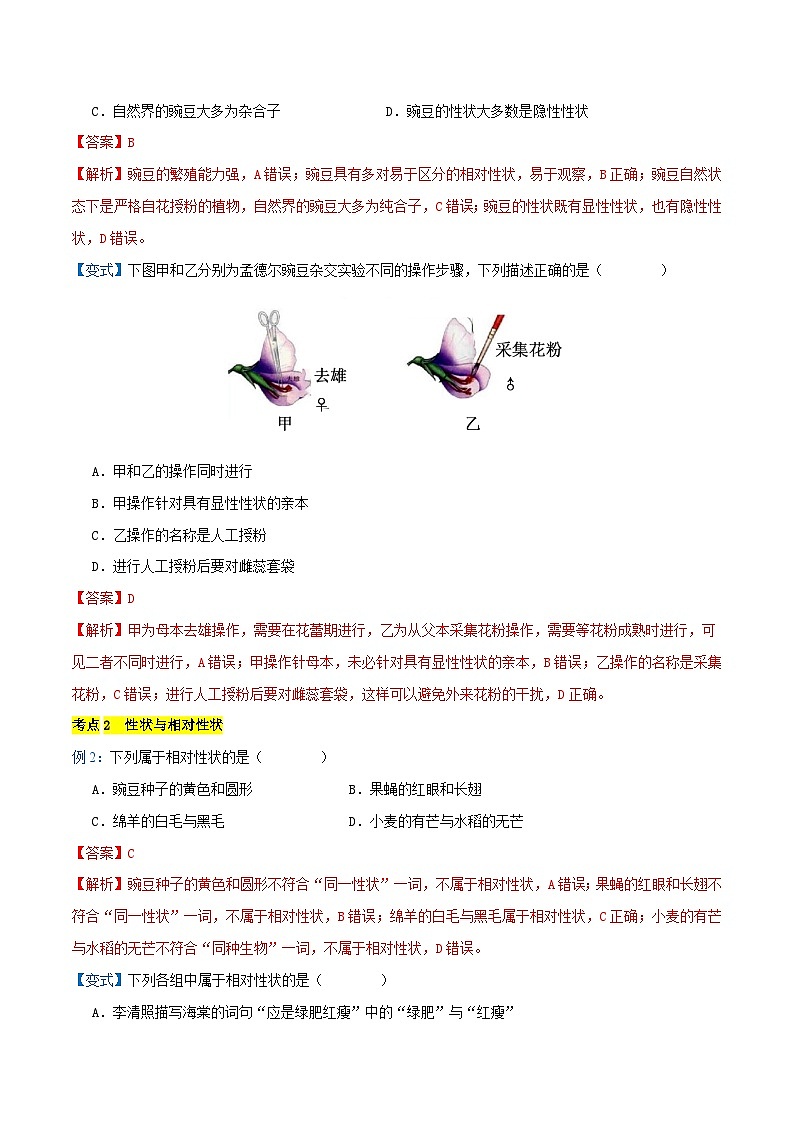 专题01 遗传规律与伴性遗传【考题猜想】（20个考点）（原卷版+解析版）-高一生物下学期期末考点大串讲（人教版2019必修2）02