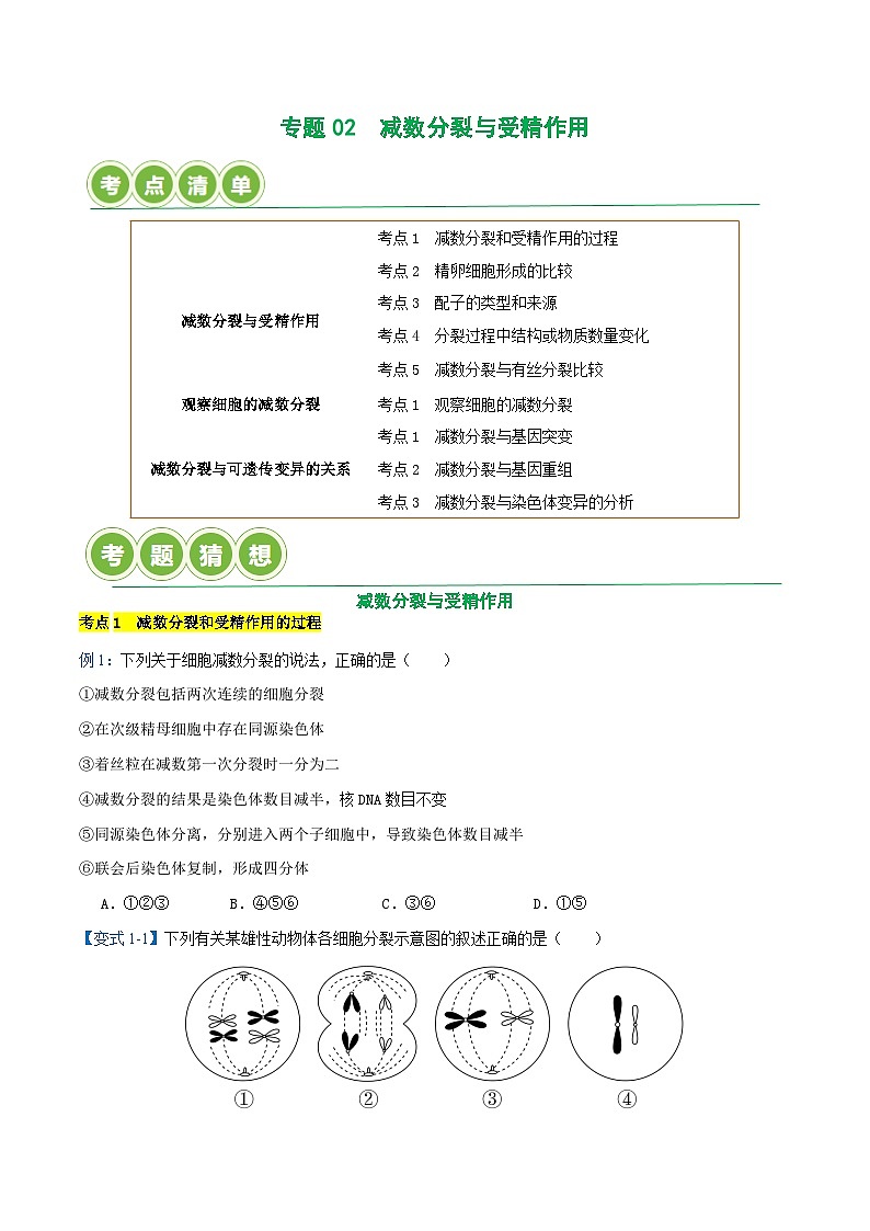 专题02 减数分裂与受精作用【考题猜想】（9个考点）（原卷版+解析版）-高一生物下学期期末考点大串讲（人教版2019必修2）01