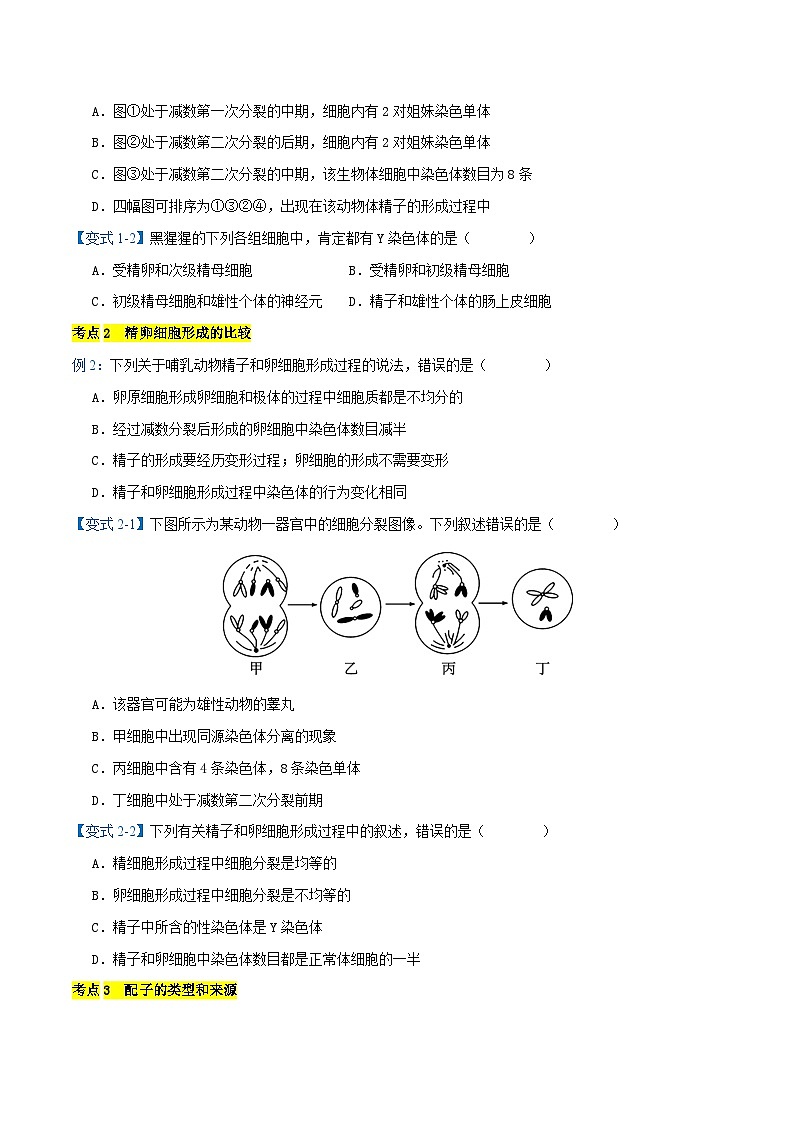 专题02 减数分裂与受精作用【考题猜想】（9个考点）（原卷版+解析版）-高一生物下学期期末考点大串讲（人教版2019必修2）02