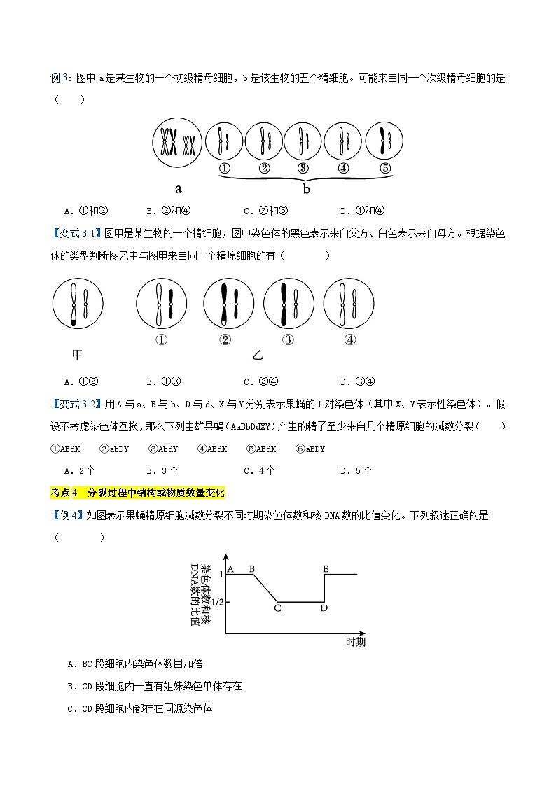 专题02 减数分裂与受精作用【考题猜想】（9个考点）（原卷版+解析版）-高一生物下学期期末考点大串讲（人教版2019必修2）03