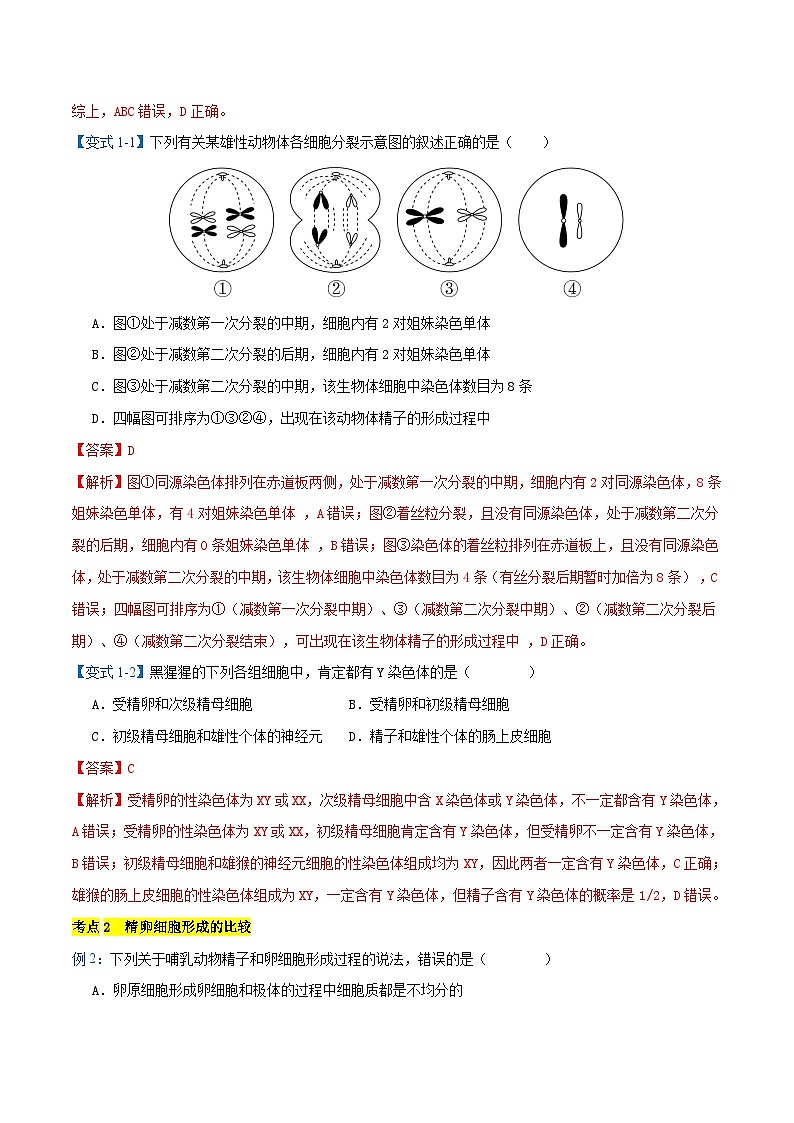 专题02 减数分裂与受精作用【考题猜想】（9个考点）（原卷版+解析版）-高一生物下学期期末考点大串讲（人教版2019必修2）02