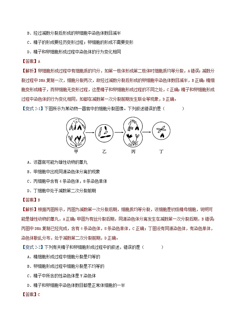 专题02 减数分裂与受精作用【考题猜想】（9个考点）（原卷版+解析版）-高一生物下学期期末考点大串讲（人教版2019必修2）03