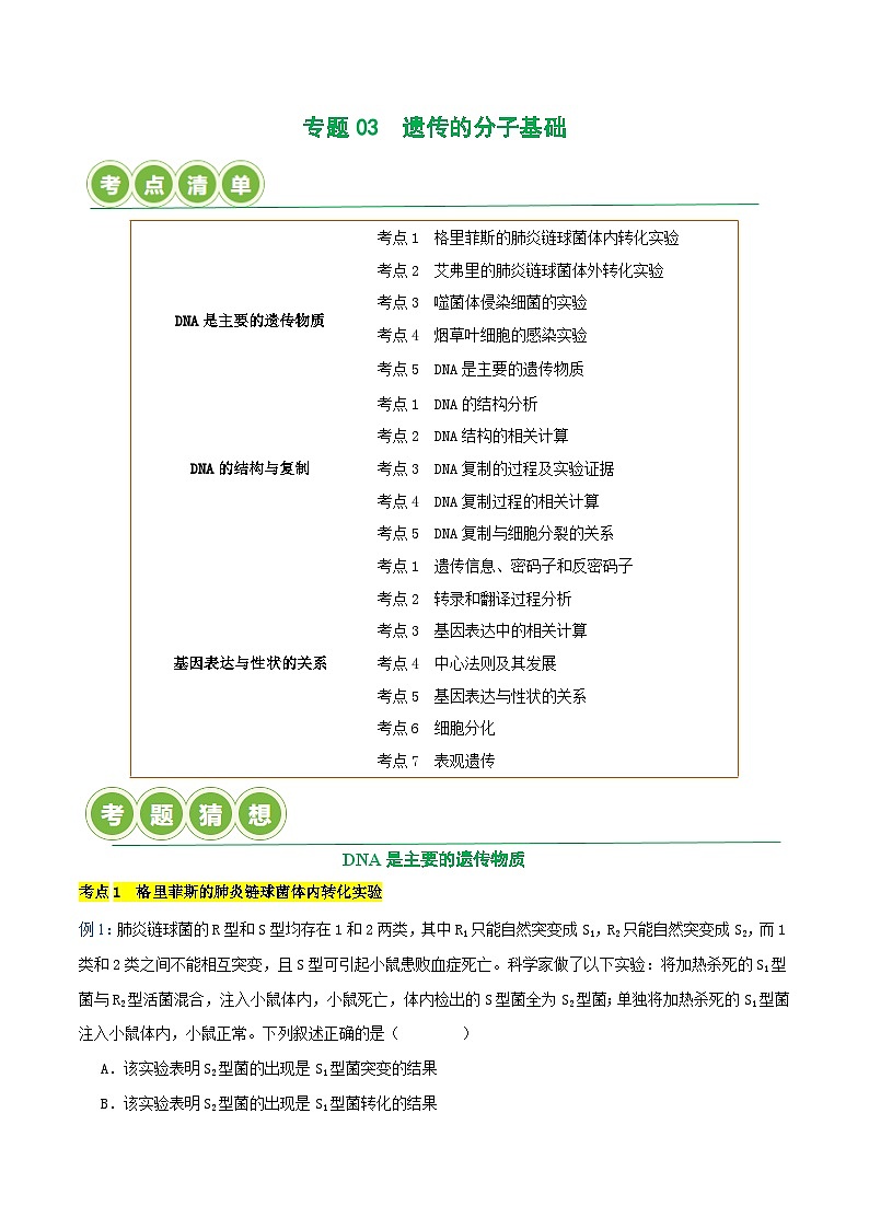 专题03 遗传的分子基础【考题猜想】（17个考点）（原卷版+解析版）-高一生物下学期期末考点大串讲（人教版2019必修2）01