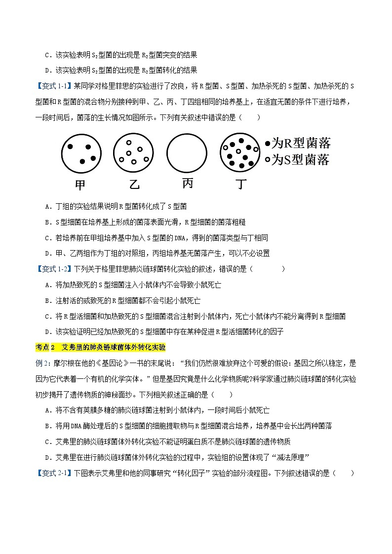 专题03 遗传的分子基础【考题猜想】（17个考点）（原卷版+解析版）-高一生物下学期期末考点大串讲（人教版2019必修2）02