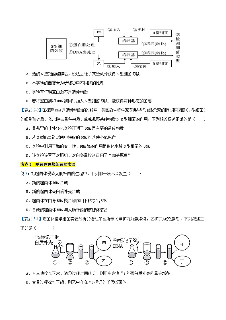 专题03 遗传的分子基础【考题猜想】（17个考点）（原卷版+解析版）-高一生物下学期期末考点大串讲（人教版2019必修2）03