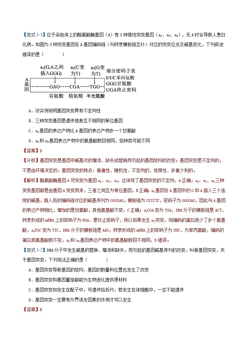 专题04  生物的变异与进化【考题猜想】（12个考点）（原卷版+解析版）-高一生物下学期期末考点大串讲（人教版2019必修2）02