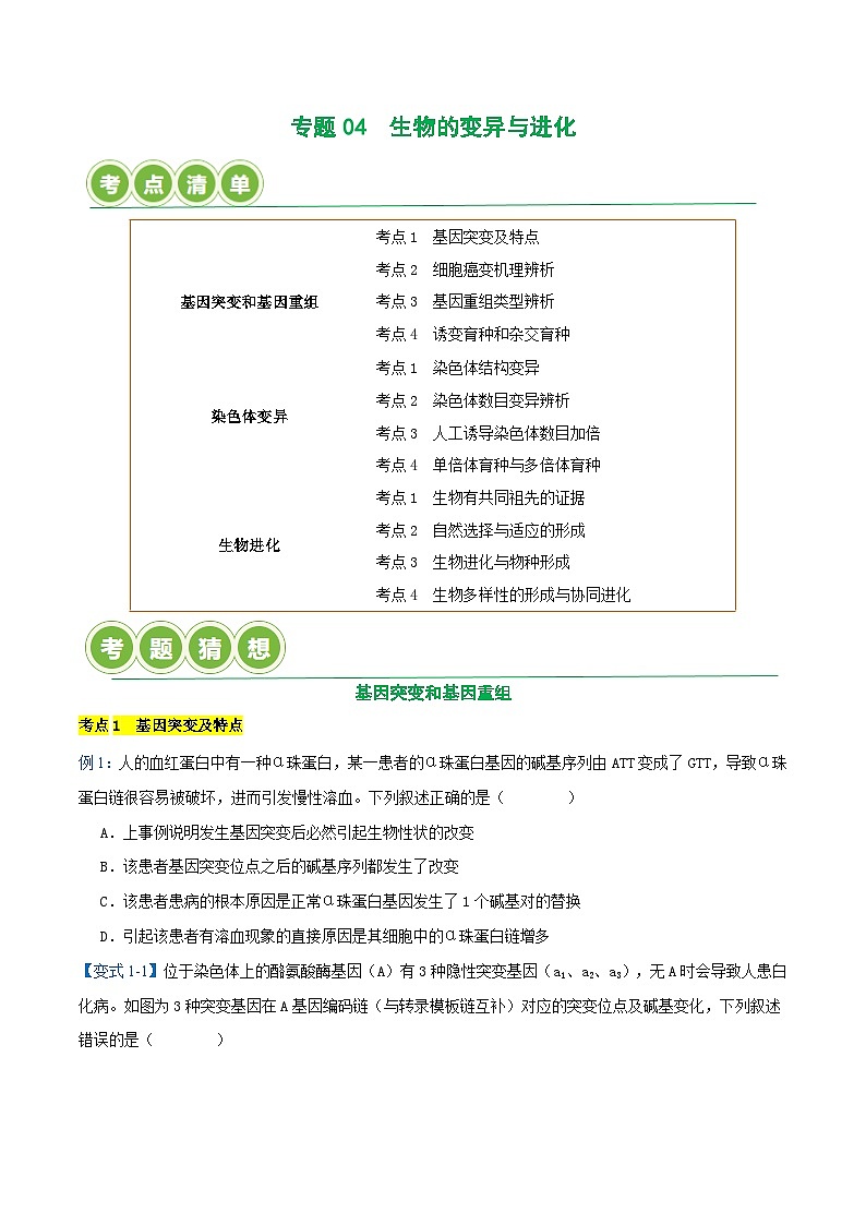 专题04  生物的变异与进化【考题猜想】（12个考点）（原卷版+解析版）-高一生物下学期期末考点大串讲（人教版2019必修2）01