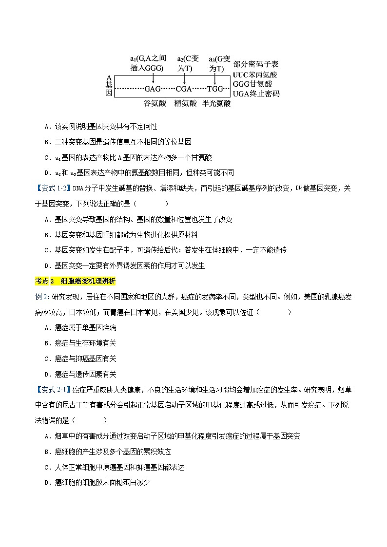 专题04  生物的变异与进化【考题猜想】（12个考点）（原卷版+解析版）-高一生物下学期期末考点大串讲（人教版2019必修2）02