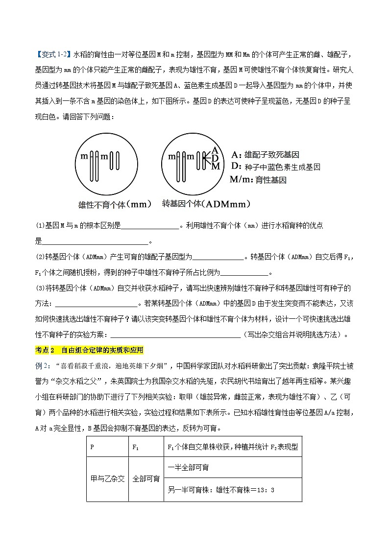专题05  非选择题部分【考题猜想】（15个考点）（原卷版+解析版）-高一生物下学期期末考点大串讲（人教版2019必修2）03