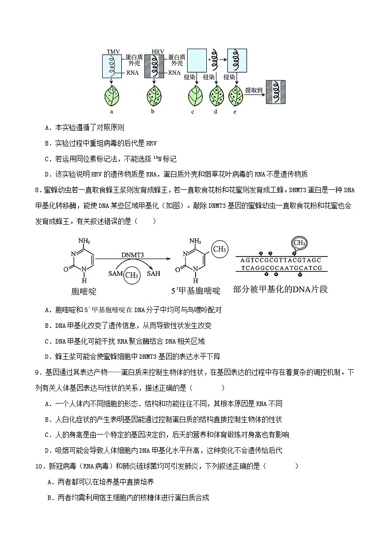 期末复习卷02（原卷版+解析版）-高一生物下学期期末考点大串讲（人教版2019必修2）03