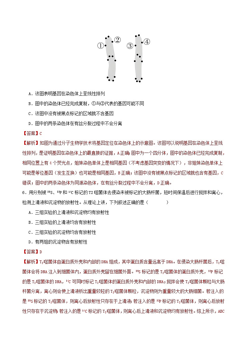 期末复习卷02（原卷版+解析版）-高一生物下学期期末考点大串讲（人教版2019必修2）03