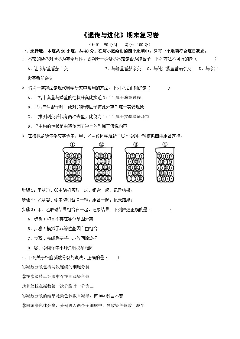 期末复习卷（原卷版+解析版）-高一生物下学期期末考点大串讲（人教版2019必修2）01