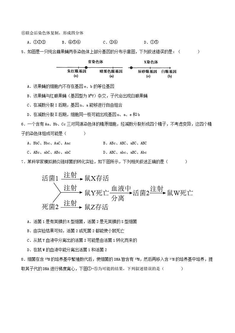 期末复习卷（原卷版+解析版）-高一生物下学期期末考点大串讲（人教版2019必修2）02