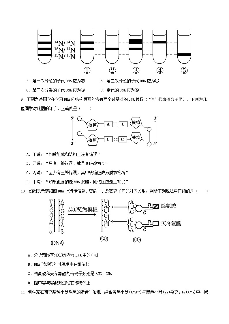 期末复习卷（原卷版+解析版）-高一生物下学期期末考点大串讲（人教版2019必修2）03