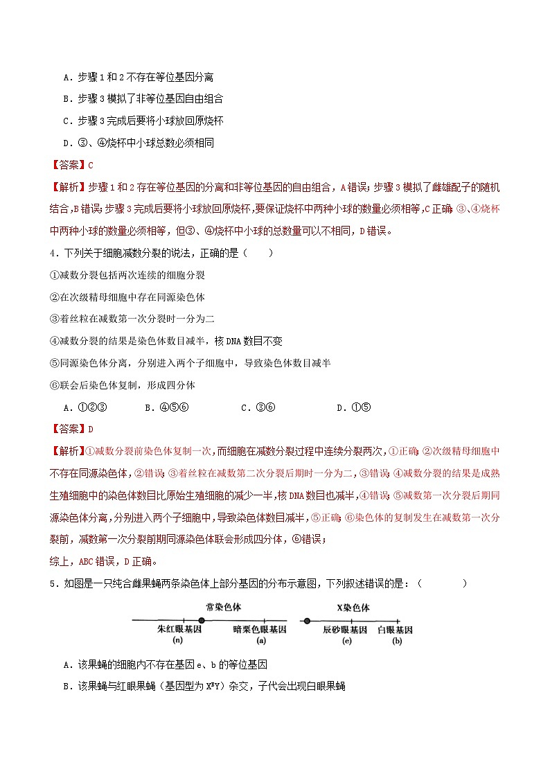 期末复习卷（原卷版+解析版）-高一生物下学期期末考点大串讲（人教版2019必修2）02