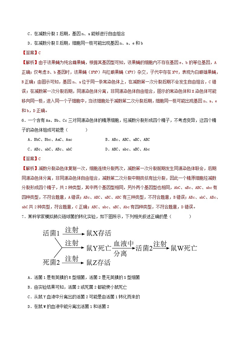 期末复习卷（原卷版+解析版）-高一生物下学期期末考点大串讲（人教版2019必修2）03