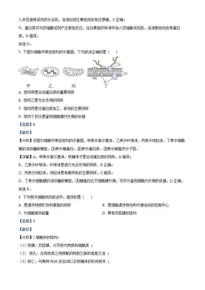 浙江省浙东北（ZDB）联盟2023-2024学年高一下学期期中联考生物试题 Word版含解析第3页