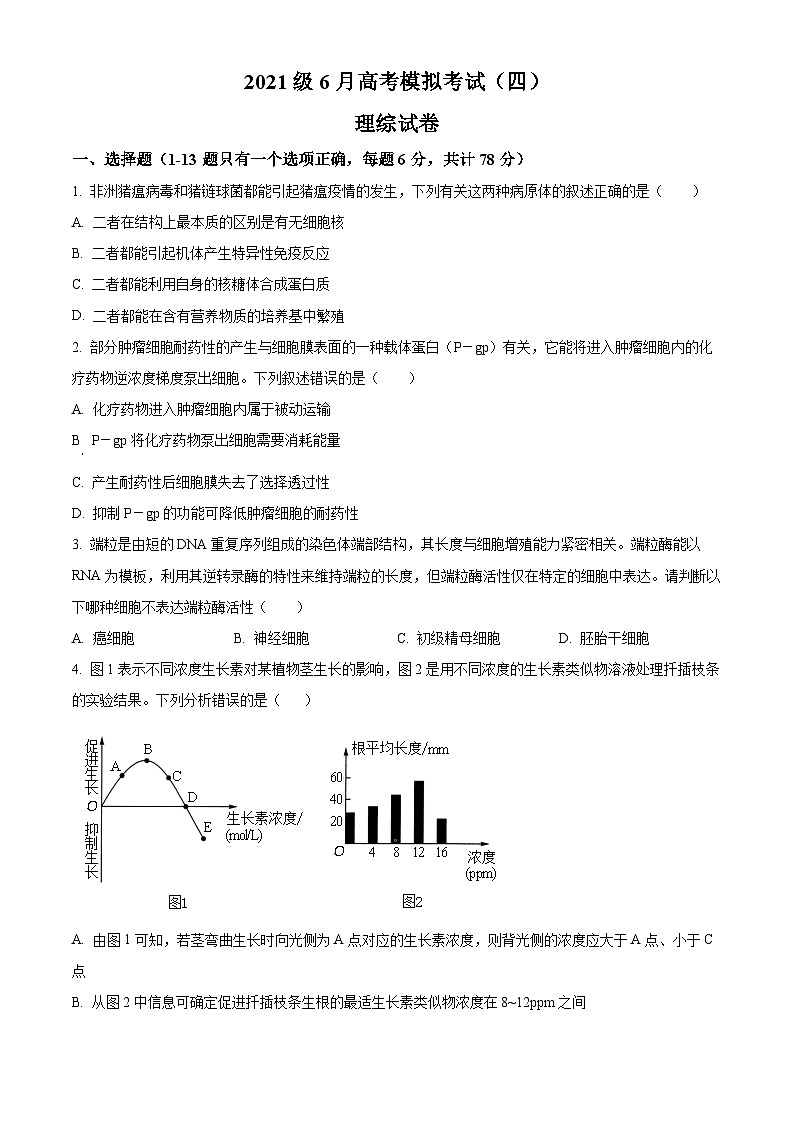 2024届四川省仁寿第一中学校南校区高三下学期模拟考试（四）理综试题-高中生物学 Word版无答案第1页