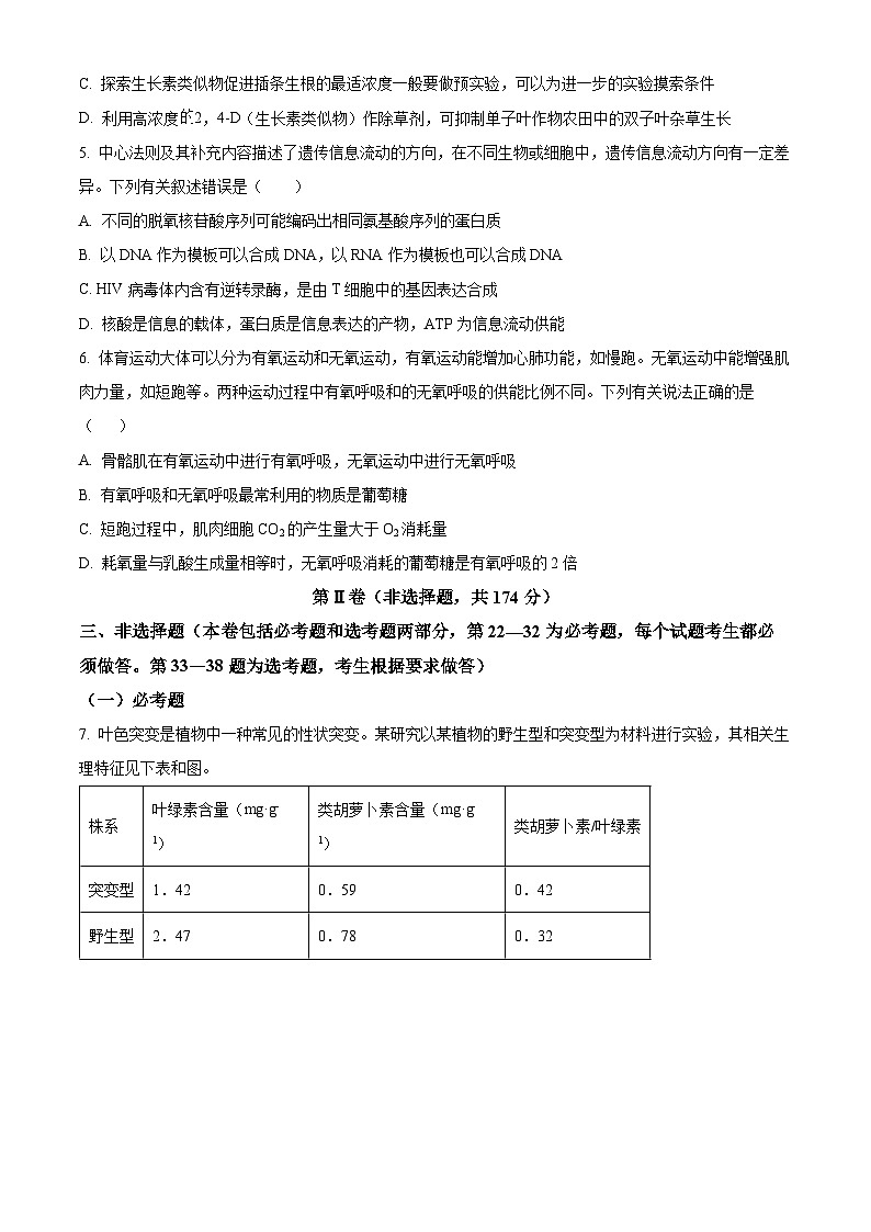 2024届四川省仁寿第一中学校南校区高三下学期模拟考试（四）理综试题-高中生物学 Word版无答案第2页