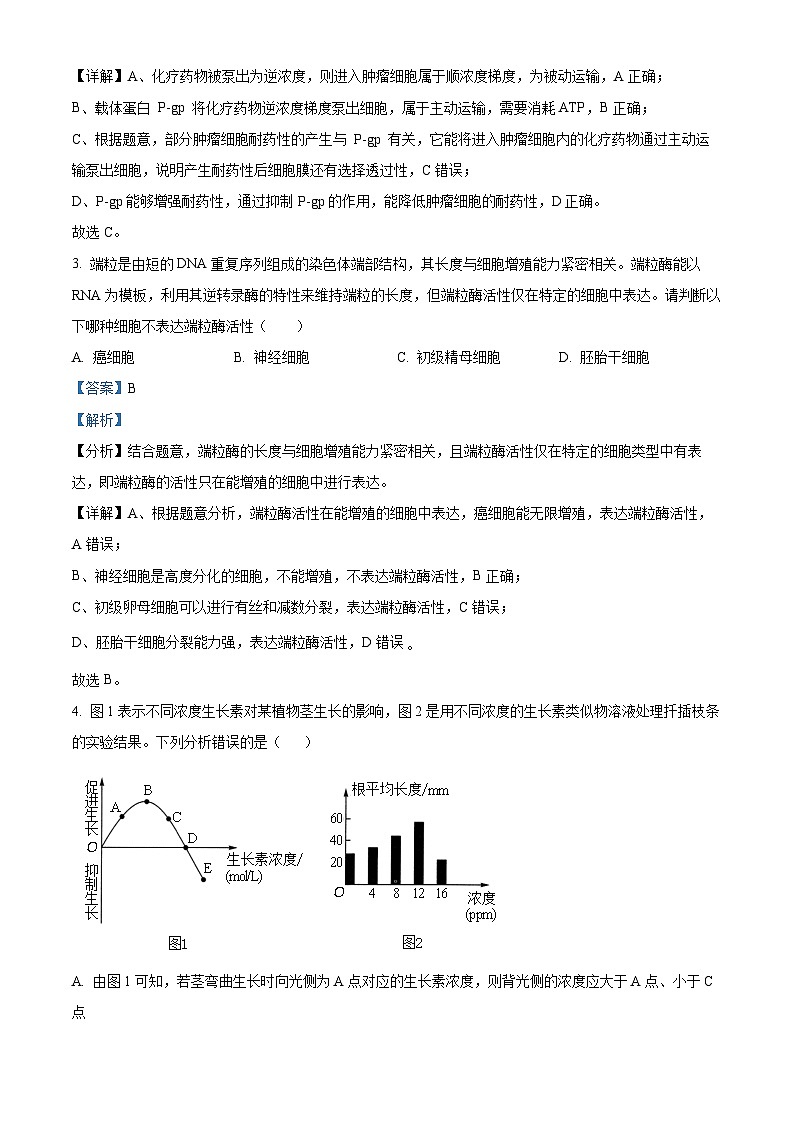 2024届四川省仁寿第一中学校南校区高三下学期模拟考试（四）理综试题-高中生物学 Word版含解析第2页