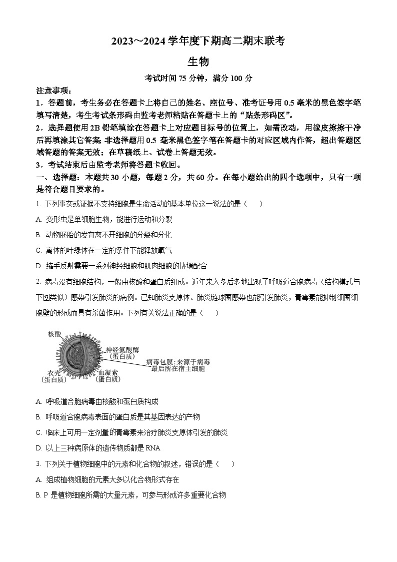 四川省成都市蓉城高中教育联盟2023-2024学年高二下学期期末联考生物试题（Word版附解析）01