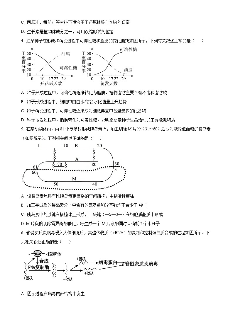 四川省成都市蓉城高中教育联盟2023-2024学年高二下学期期末联考生物试题（Word版附解析）02