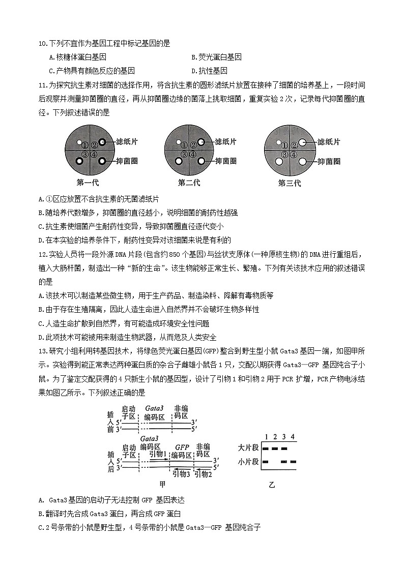2024山东省百师联盟高二下学期期末联考试题生物含解析03