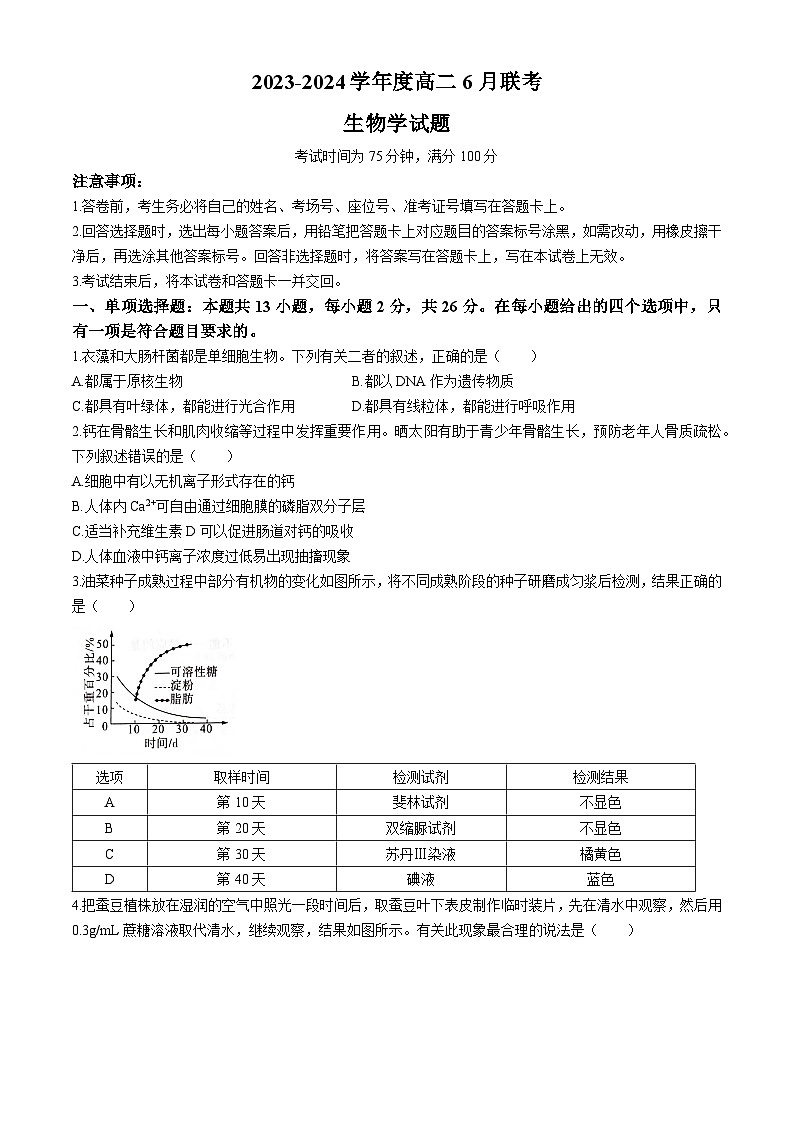 2024河南省百师联盟高二下学期6月联考试题生物含解析01