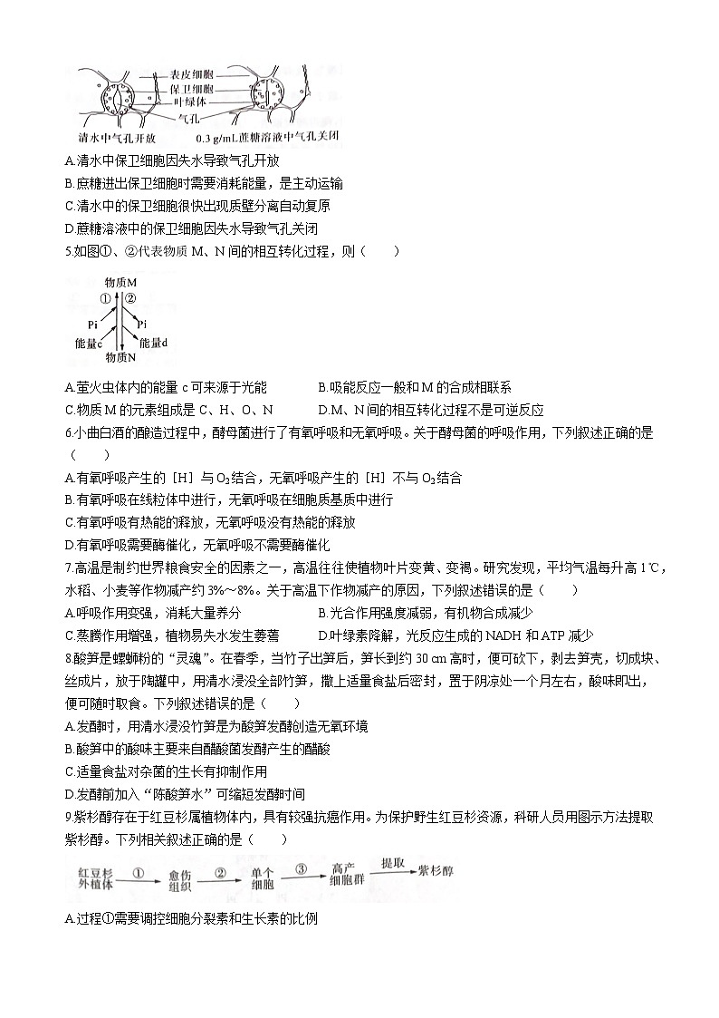 2024河南省百师联盟高二下学期6月联考试题生物含解析02