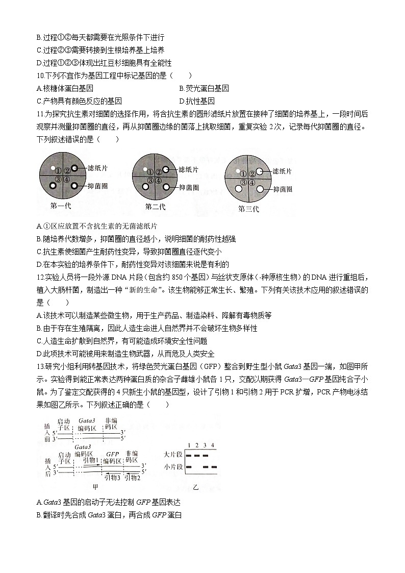 2024河南省百师联盟高二下学期6月联考试题生物含解析03