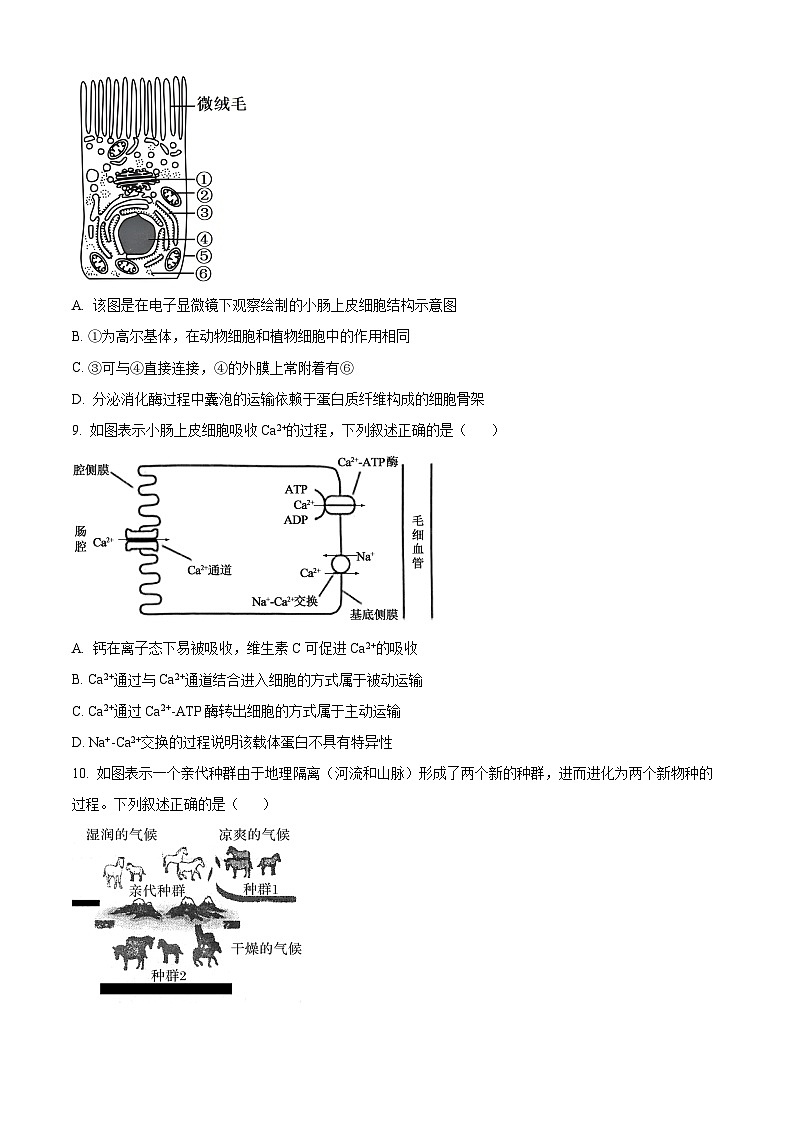 2024杭州联谊学校（“桐・浦・富・兴”教研联盟）高二下学期5月期中生物试题含解析03