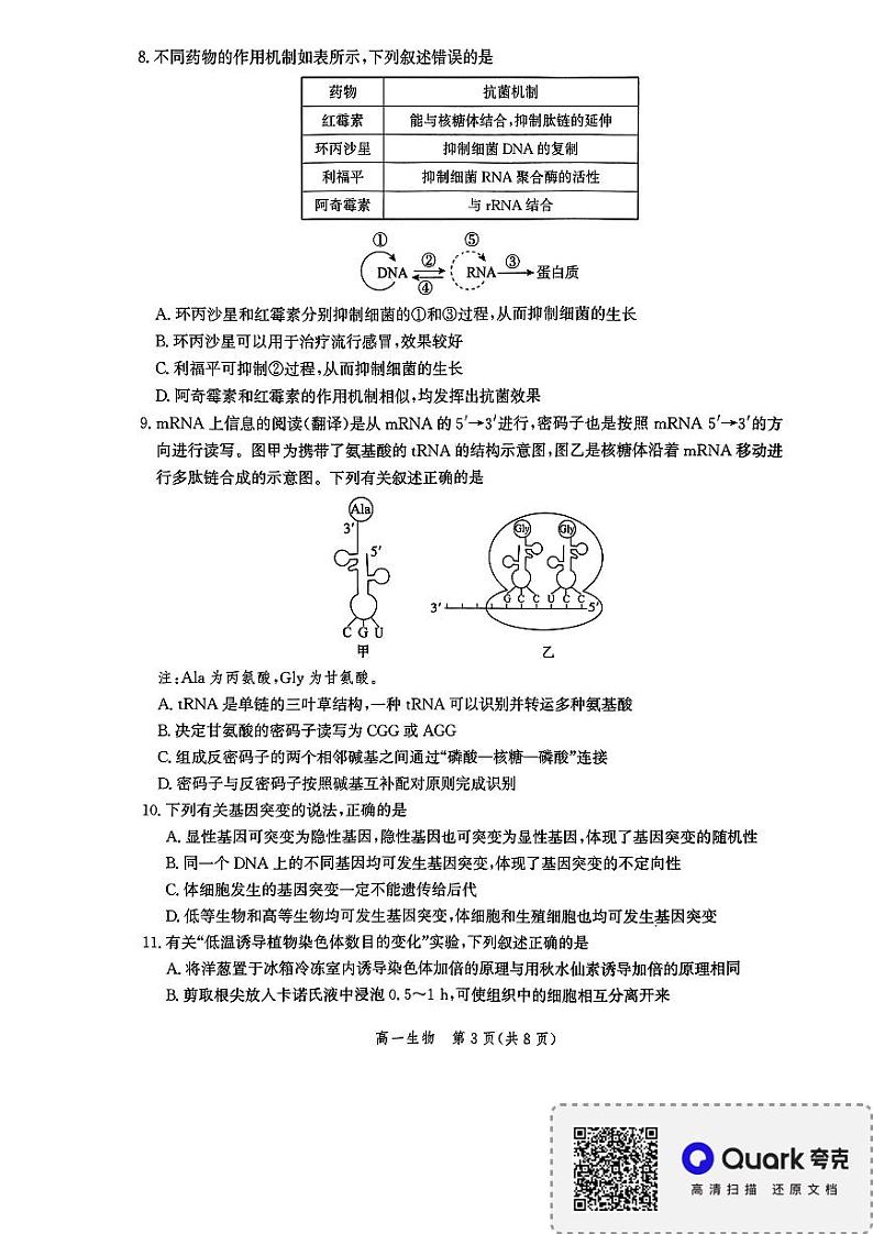 河北省邯郸市2023-2024学年高一下学期期末质量检测生物试题第3页