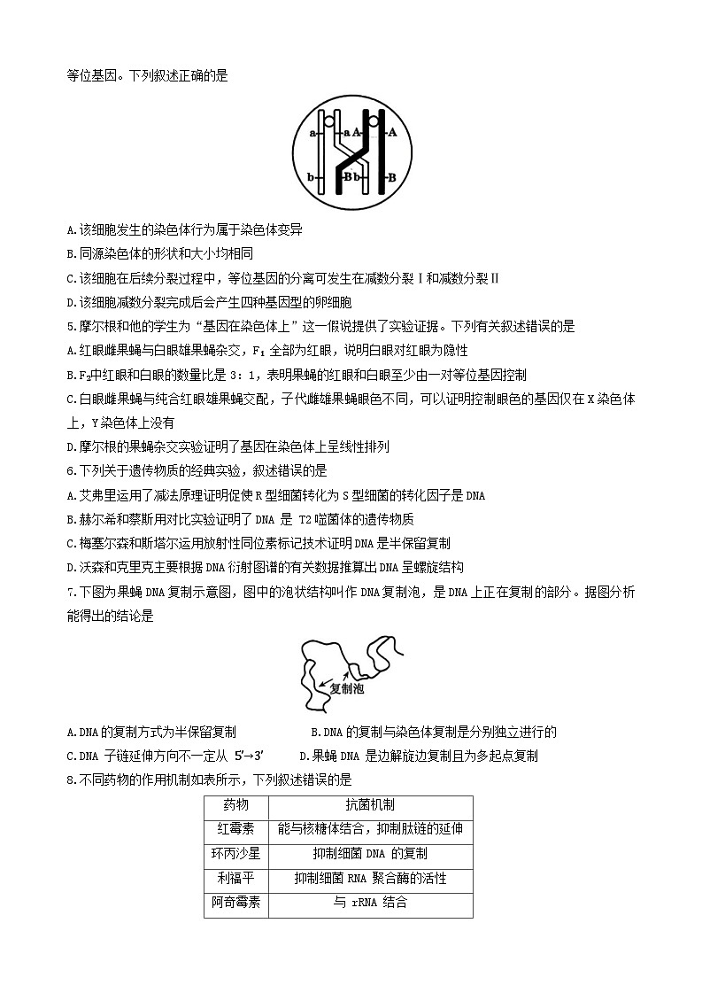 河北省邯郸市2023-2024学年高一下学期期末质量检测生物试题02