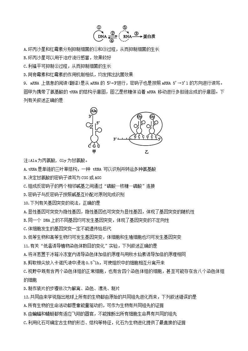 河北省邯郸市2023-2024学年高一下学期期末质量检测生物试题03