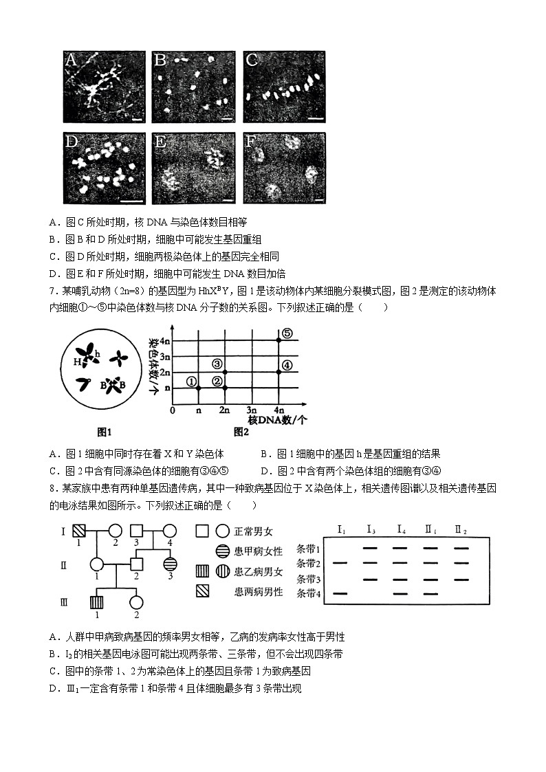 河南省南阳市第一中学校2023-2024学年下学期高一第四次月考（6月）生物试题02