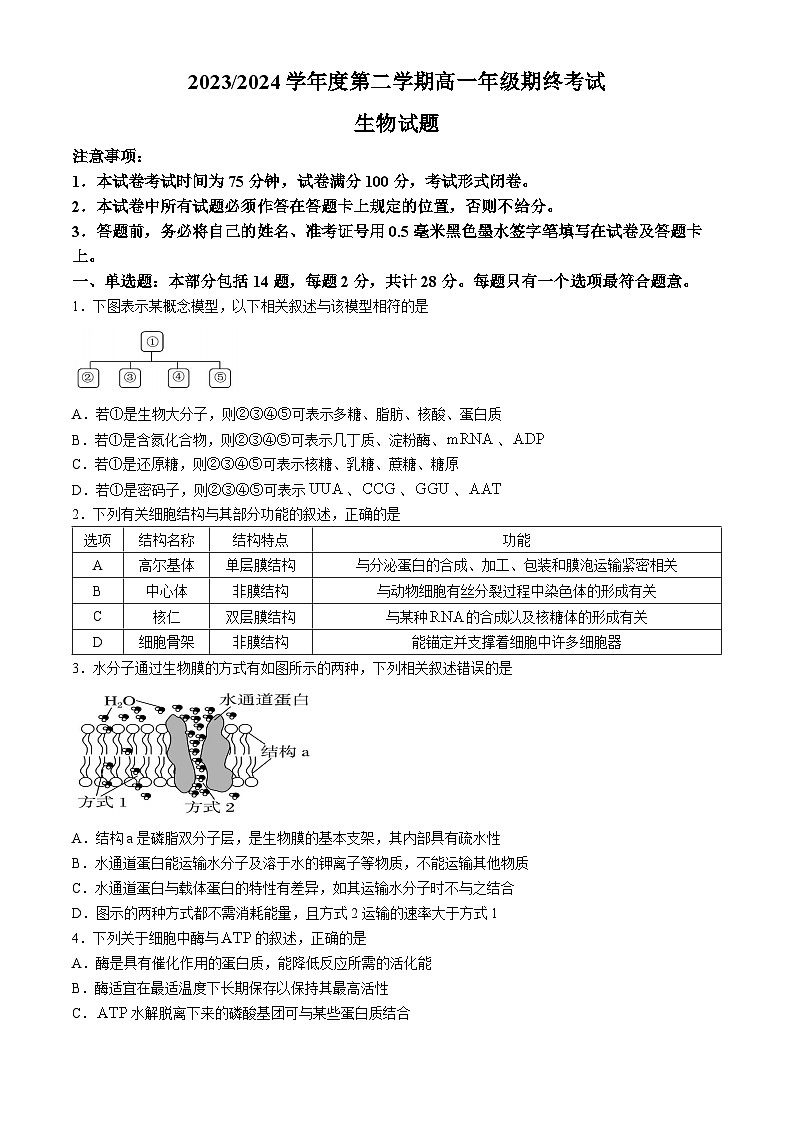 江苏省盐城市2023-2024学年高一下学期6月期末生物试题01