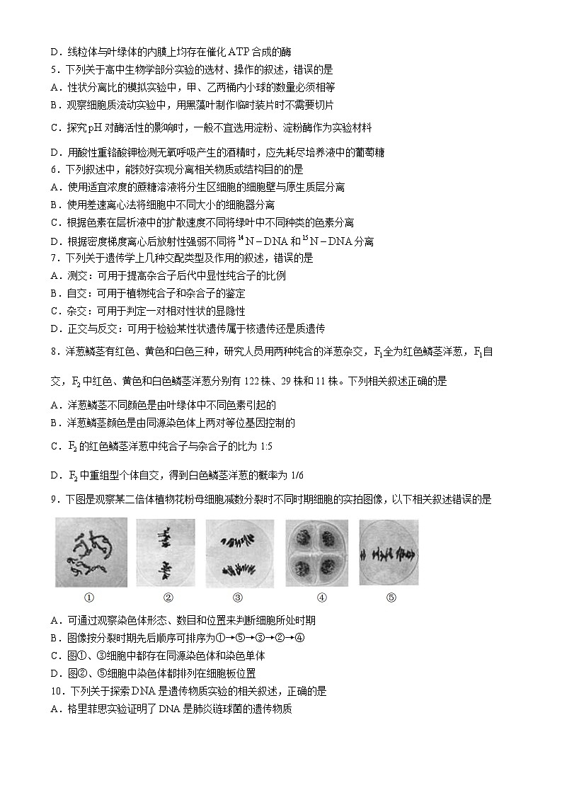 江苏省盐城市2023-2024学年高一下学期6月期末生物试题02