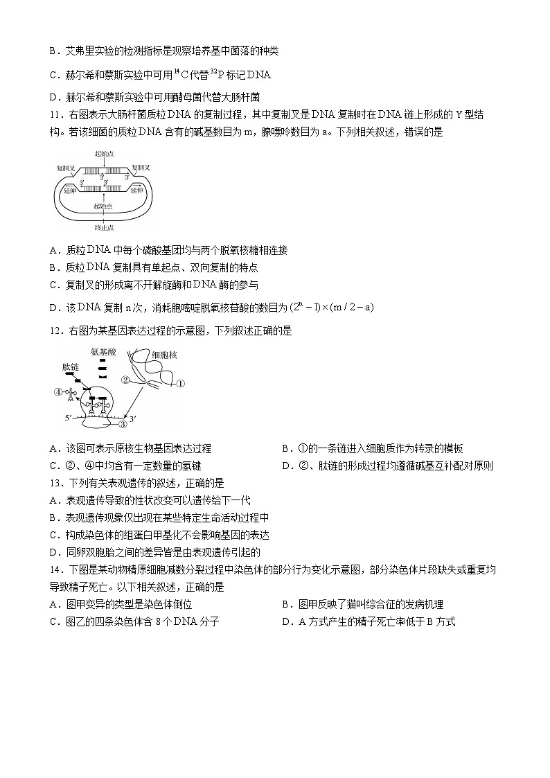 江苏省盐城市2023-2024学年高一下学期6月期末生物试题03