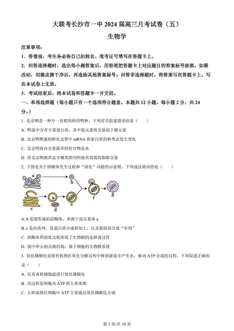湖南省长沙市第一中学2024届高三上学期月考（五）生物试卷（PDF版）01