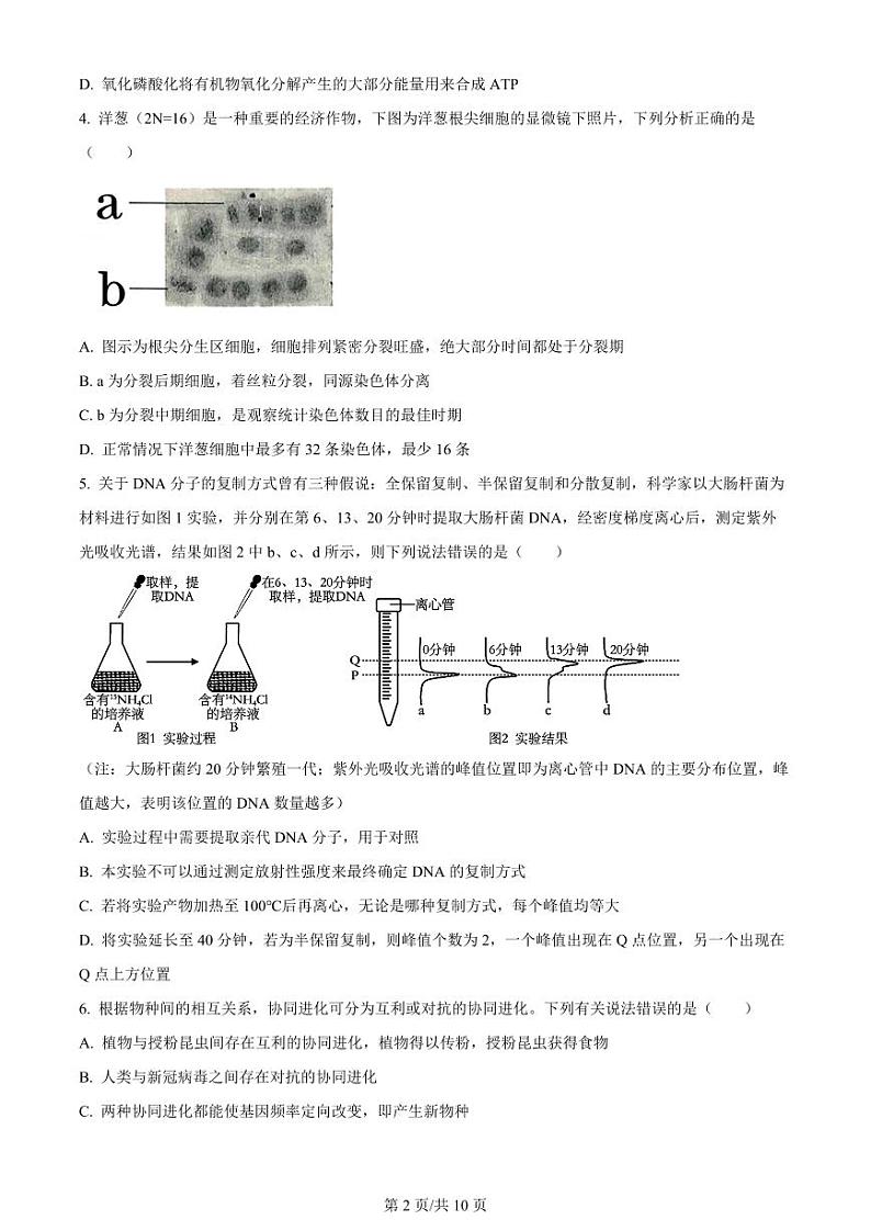 湖南省长沙市第一中学2024届高三上学期月考（五）生物试卷（PDF版）02