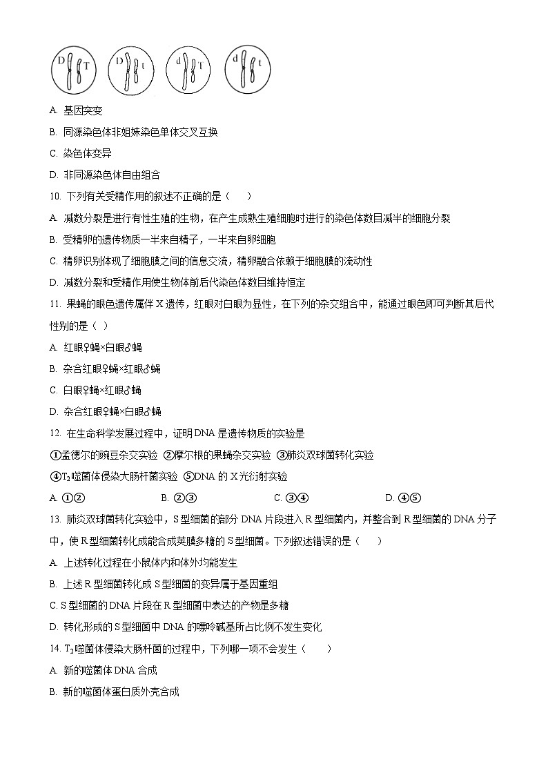 黑龙江省大庆中学2023-2024学年高一下学期5月期中考试生物试卷（Word版附解析）03